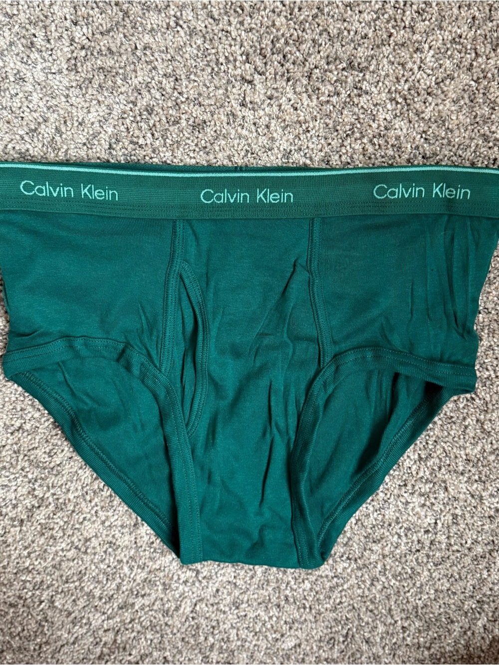 Calvin Klein Men's Green Briefs